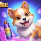 弹弹堂宠物精华液：宠物健康的必备之选