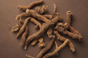 采药攻略：如何正确采集药材？