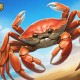 探寻最佳斗蟹单机游戏网，畅玩无限精彩！